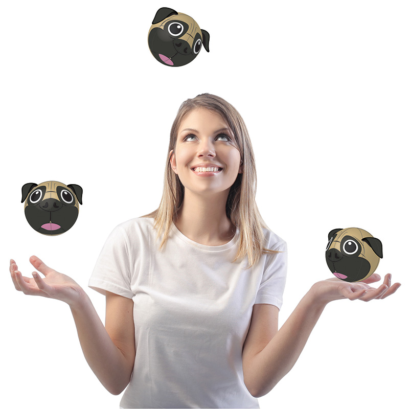 Dog ball