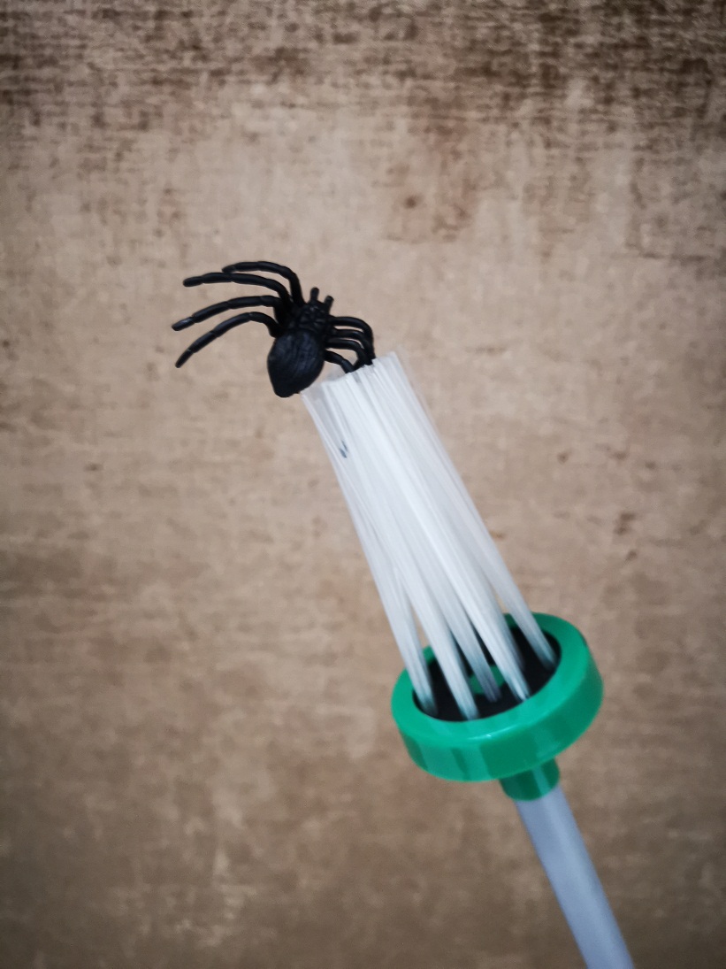 Spider Critter