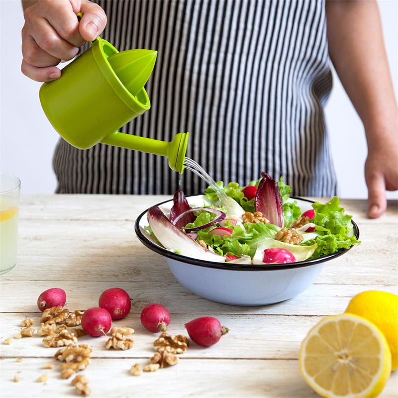 Lemon Juicer