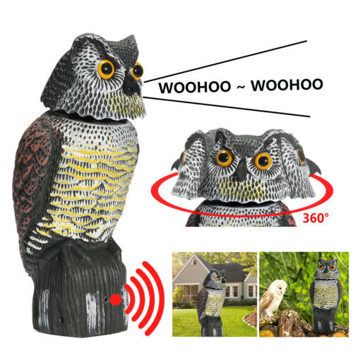 Owl Decoy Statue